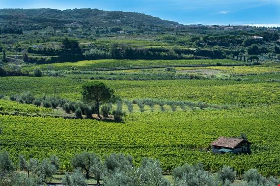  Frascati  